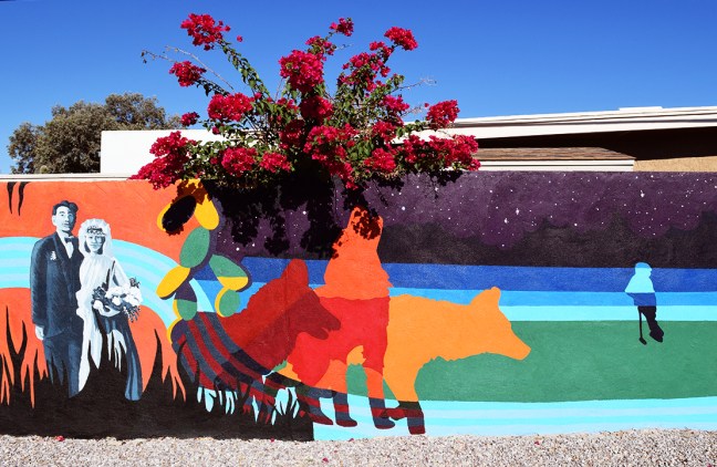 Flow_coyotes-bougainvillea-web